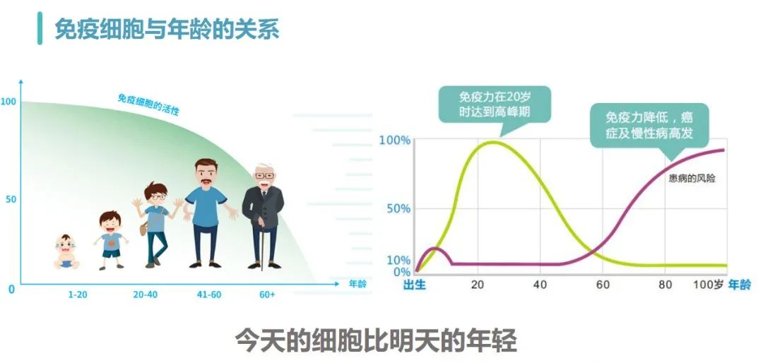 NK細胞與年齡的關(guān)系 NK細胞與年齡的關(guān)系
