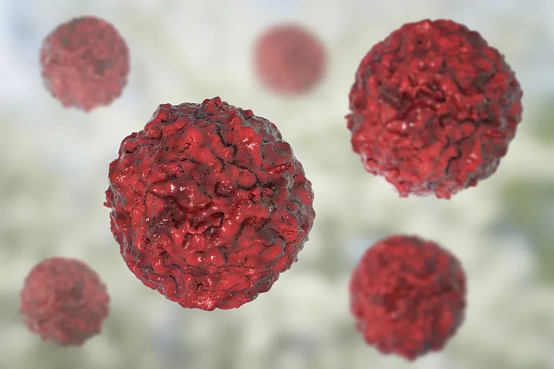 臍帶間充質(zhì)干細胞的生物學(xué)特點(diǎn)?