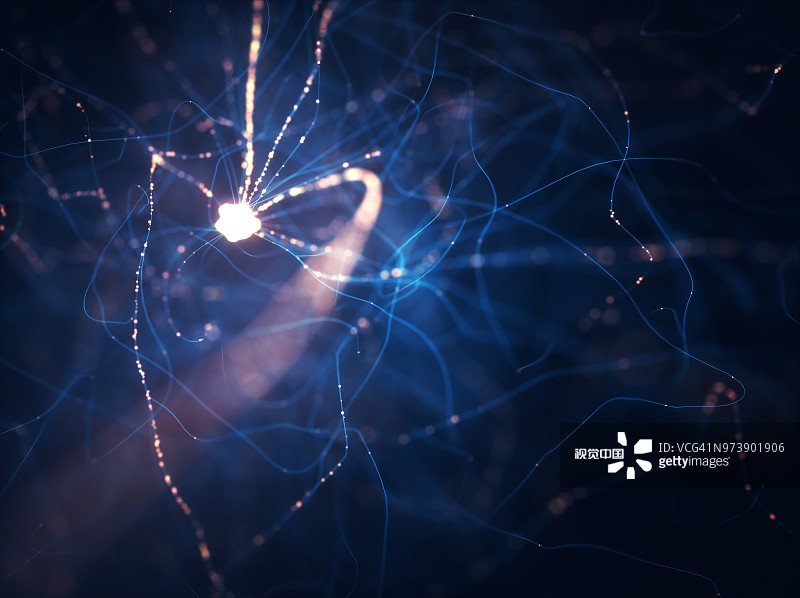 神經(jīng)干細胞移植在脊髓損傷修復中的作用及應用