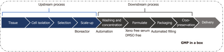 圖1：治療性細胞制造加工的工作流程。
