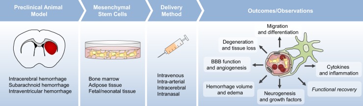 圖1：臨床前研究路線(xiàn)圖
