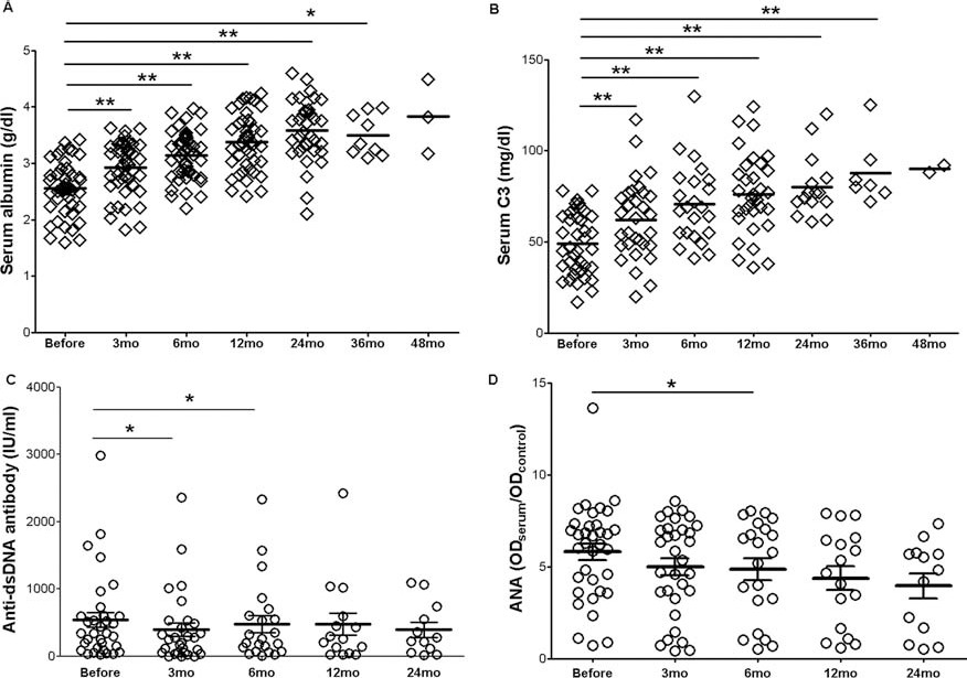 間充質(zhì)干細胞移植后血清白蛋白 (A) 和補體 C3 (B) 增加。間充質(zhì)干細胞移植后血清抗雙鏈DNA (dsDNA) 抗體和抗核抗體 (ANA) 下降（C和D）。
