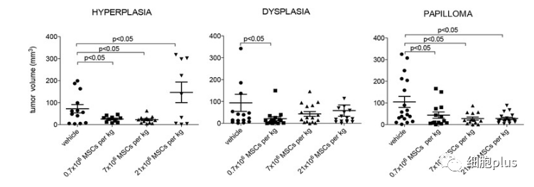 3?低劑量全身施用同種異體間充質(zhì)干細胞預防腫瘤生長(cháng)