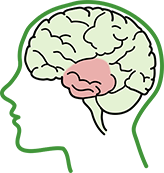 基底神經(jīng)節損傷大