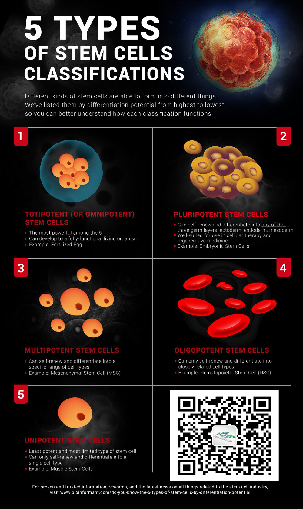 不同類(lèi)型的干細胞 |  你知道5種干細胞嗎
