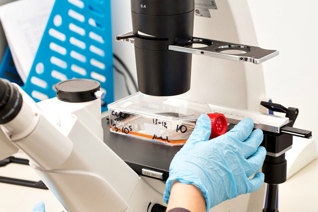 什么是干細胞？關(guān)于一系列干細胞的簡(jiǎn)短知識