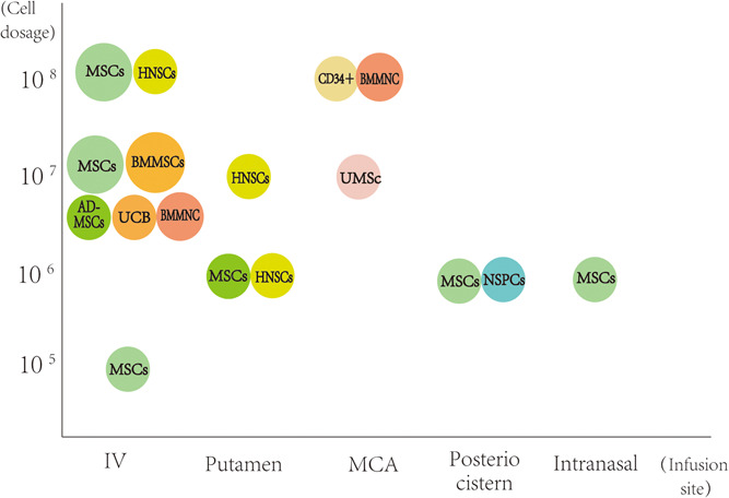 圖1：臨床試驗中細胞類(lèi)型、劑量和輸注部位之間關(guān)系的可視化