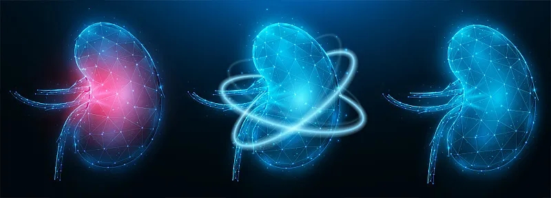 干細胞治療慢性腎病相對于腎移植的10個(gè)好處