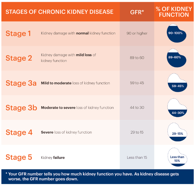 慢性腎病的階段、腎臟慢性腎病治療、腎衰竭治療費用