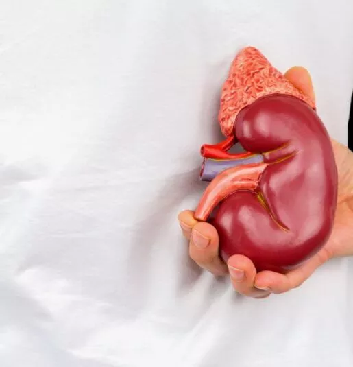 腎衰竭的原因有哪些？