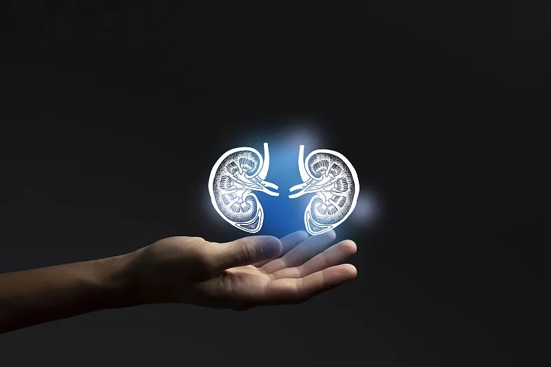 除了透析治療腎衰竭，還有什么治療方法？