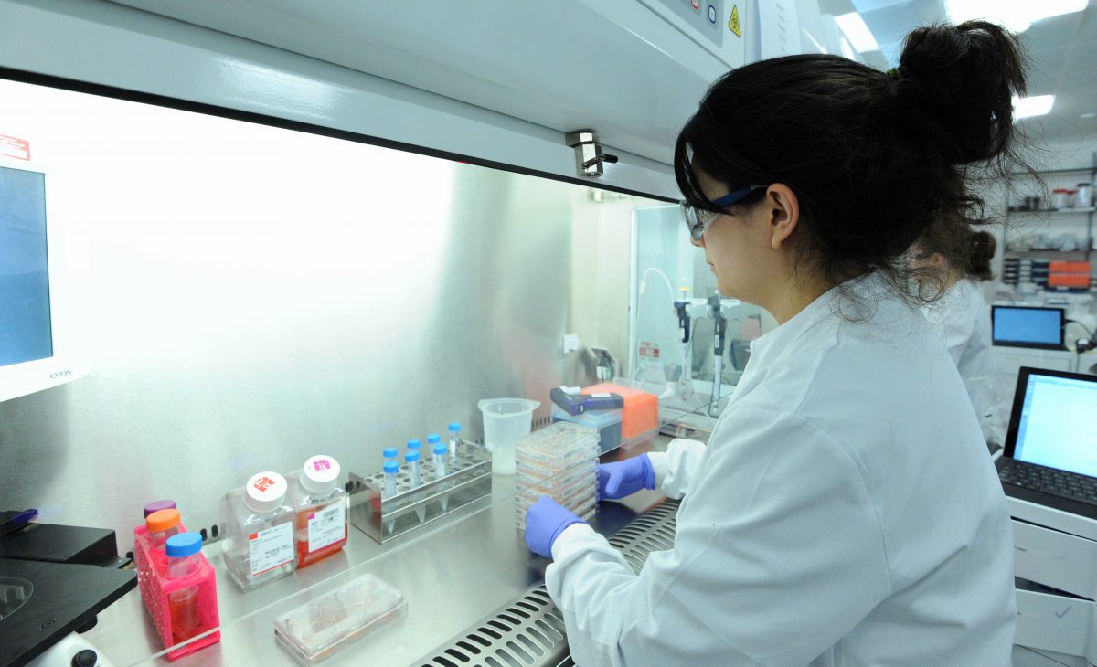 一位科學(xué)家正在研究誘導多能干細胞。圖片來(lái)源：Genome Research Limited