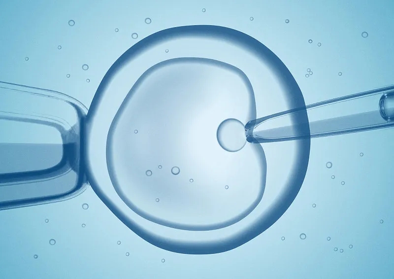 什么是干細胞移植和骨髓移植？