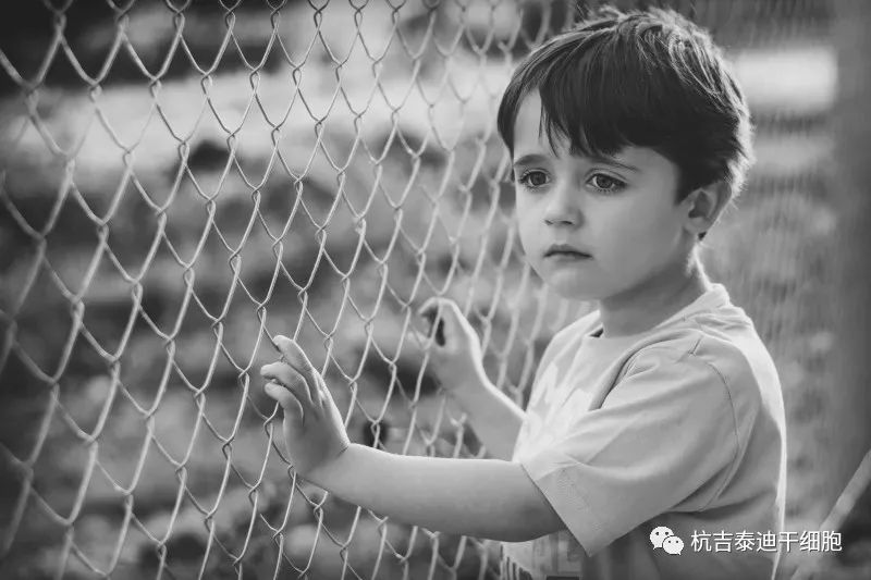 贛南醫科大學(xué):干細胞治療自閉癥兒童的療效和安全性分析 贛南醫科大學(xué):干細胞治療自閉癥兒童的療效和安全性分析