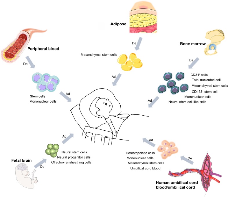 圖1:用于治療腦癱的干細胞類(lèi)型 圖1:用于治療腦癱的干細胞類(lèi)型
