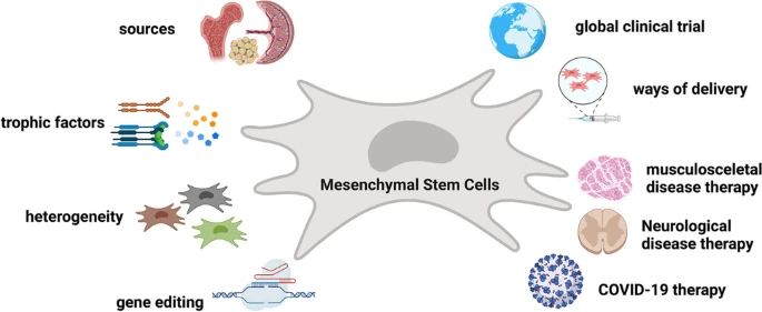 間充質(zhì)干細胞的細胞療法的全球趨勢簡(jiǎn)要概述