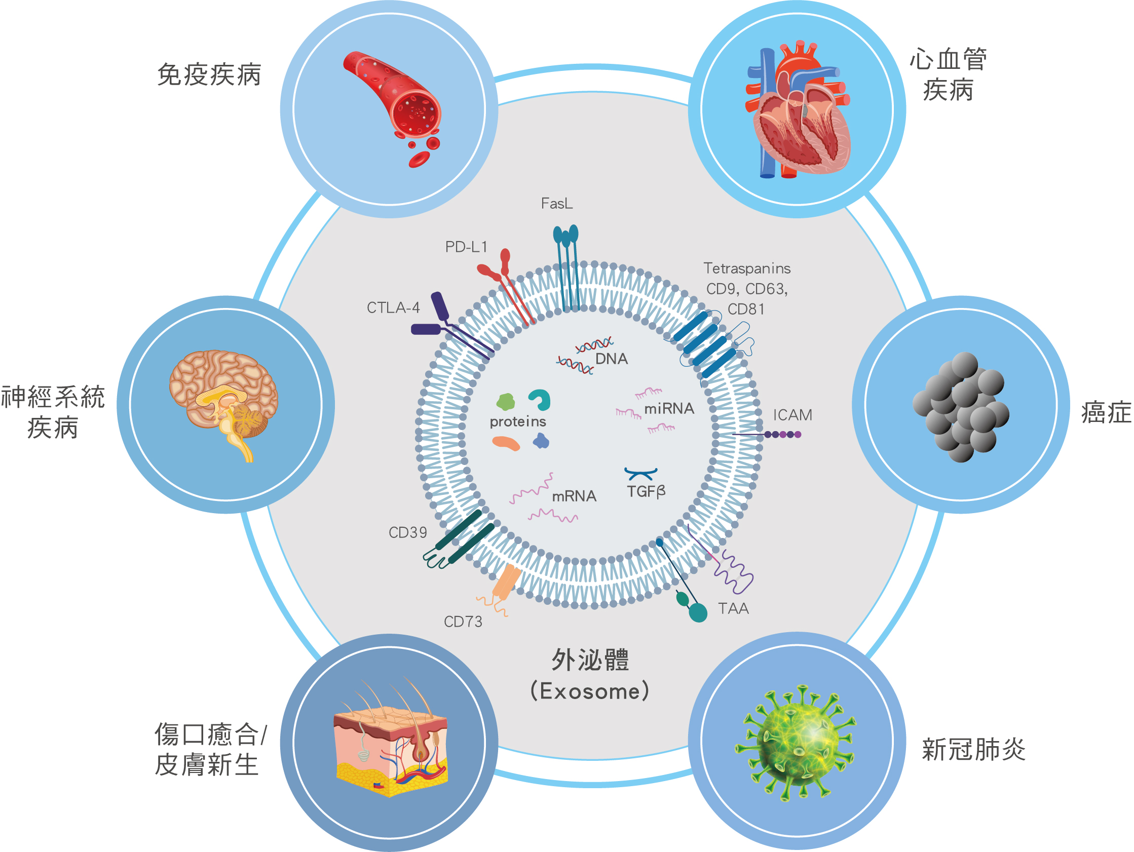 外泌體(Exosome)的臨床應用 外泌體(Exosome)的臨床應用