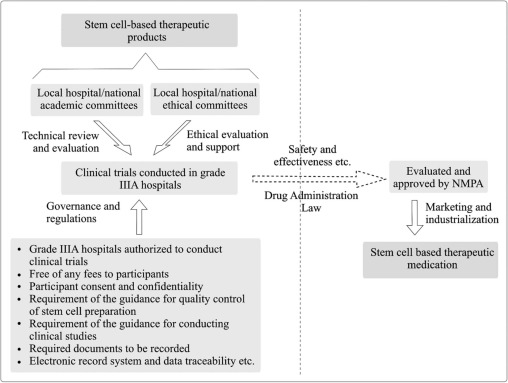 圖1。雙軌制監管體制運行模式