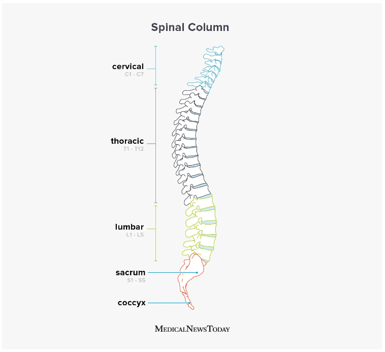 脊髓損傷的類(lèi)型 脊髓損傷的類(lèi)型