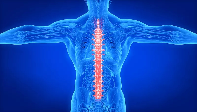 關(guān)于脊髓損傷和康復的常見(jiàn)問(wèn)題 (FAQ) 關(guān)于脊髓損傷和康復的常見(jiàn)問(wèn)題 (FAQ)