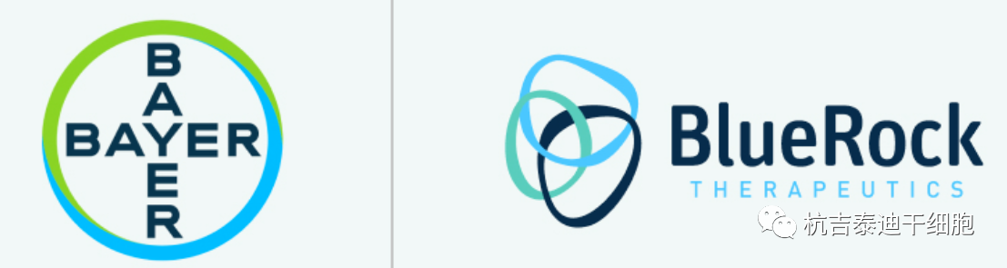 拜耳表示神經(jīng)元干細胞療法治療帕金森?。菏讉€(gè)1期臨床試驗取得積極結果