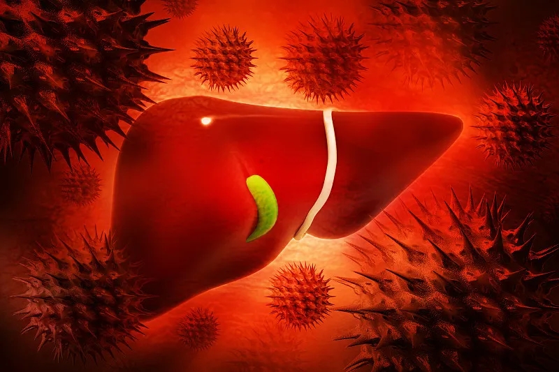 什么是乙型肝炎？