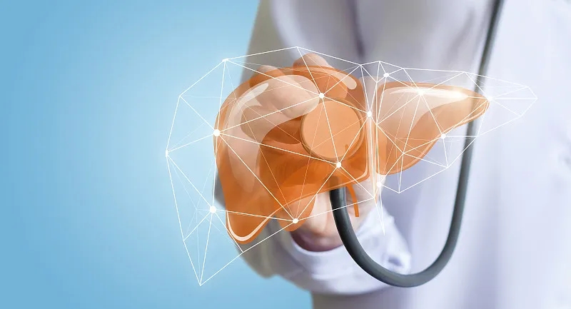 什么是甲型肝炎？