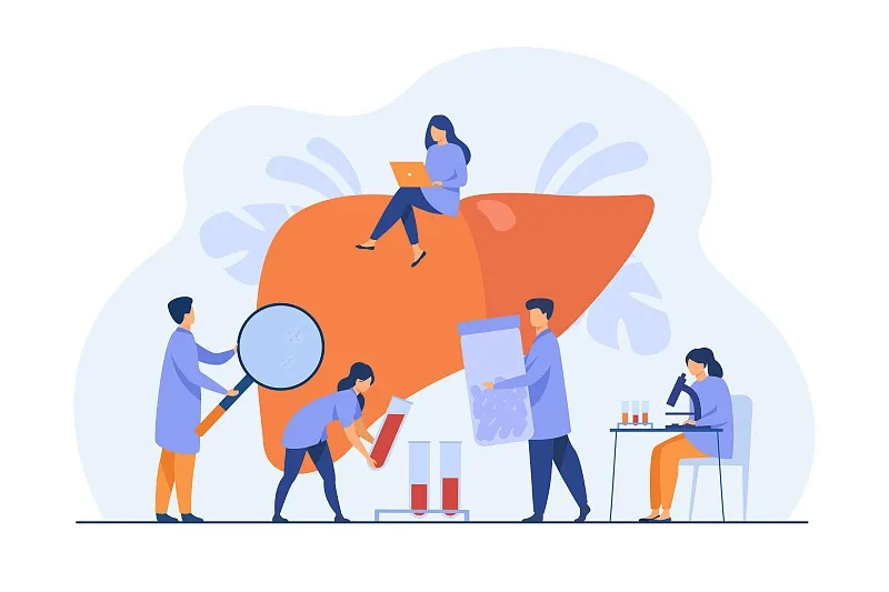 肝臟有什么作用？