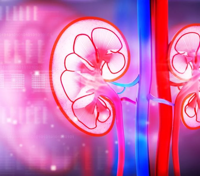 腎臟疾病的類(lèi)型有哪些？