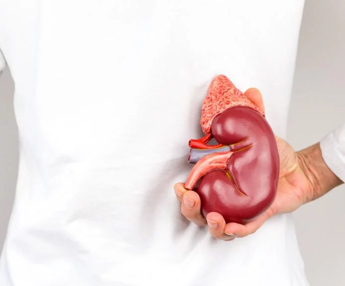 慢性腎臟病的第一階段：原因、癥狀和治療