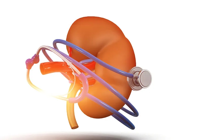 腎臟疾病的征兆 腎臟疾病的征兆