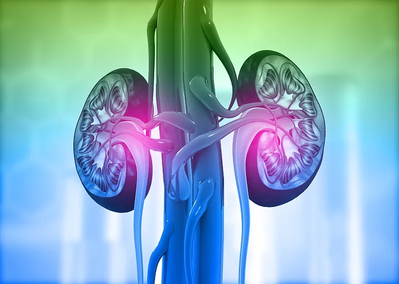 慢性腎?。喊Y狀-原因-危險因素