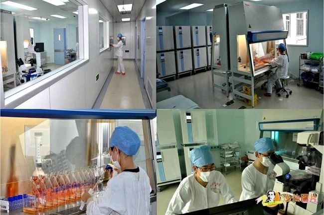生物治療技術(shù)中心的GMP生產(chǎn)基地