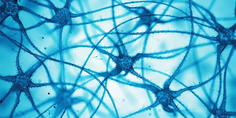 什么是神經(jīng)細胞？為什么它們很重要？