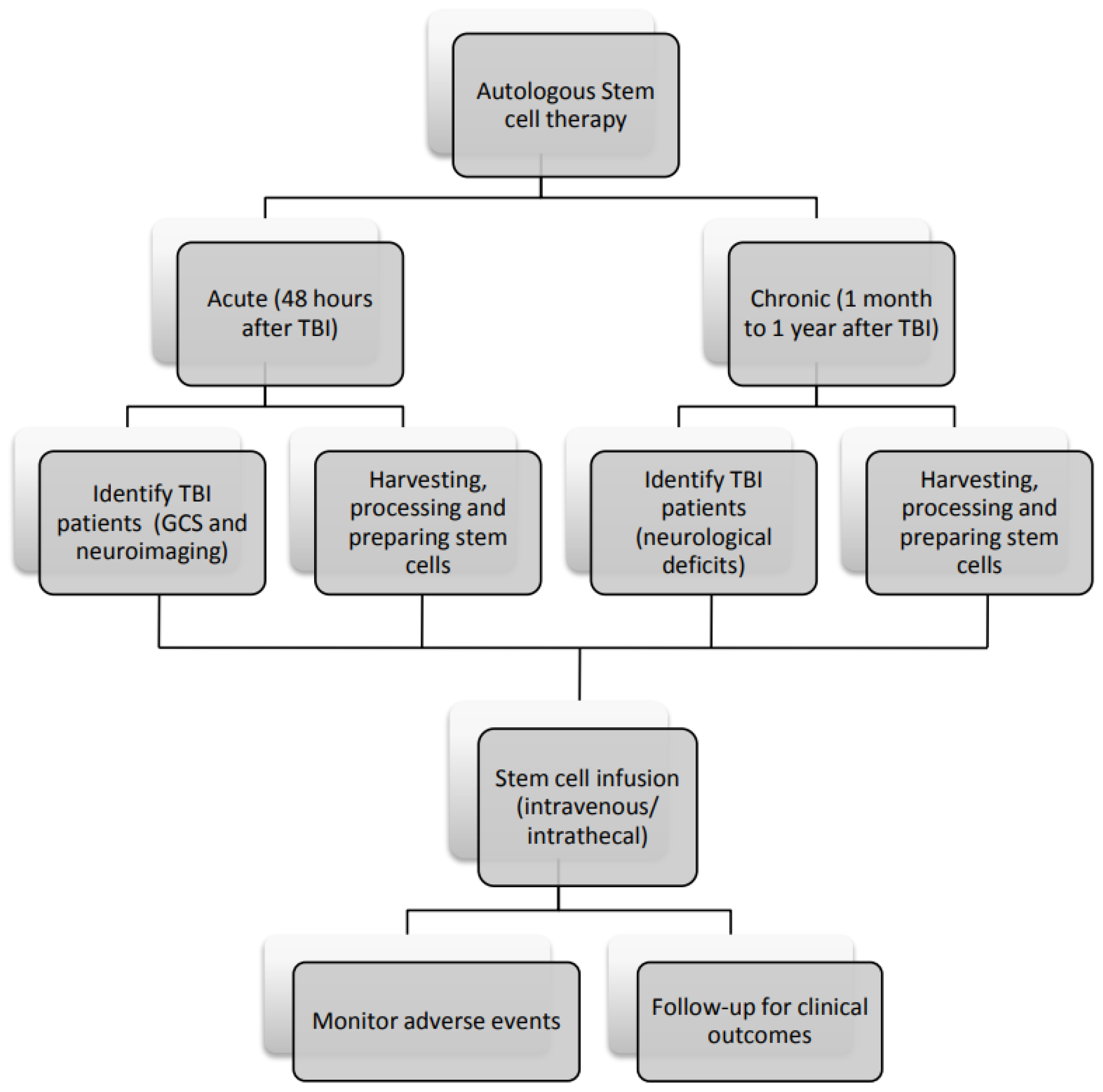 圖3：間充質(zhì)干細胞治療腦損傷患者的流程圖。