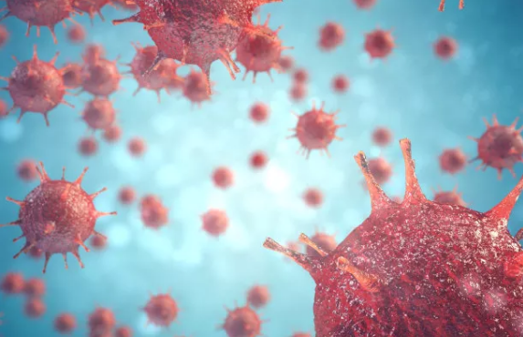 間充質(zhì)干細胞在治療新冠病毒導致的中風(fēng)中具有臨床價(jià)值 間充質(zhì)干細胞在治療新冠病毒導致的中風(fēng)中具有臨床價(jià)值