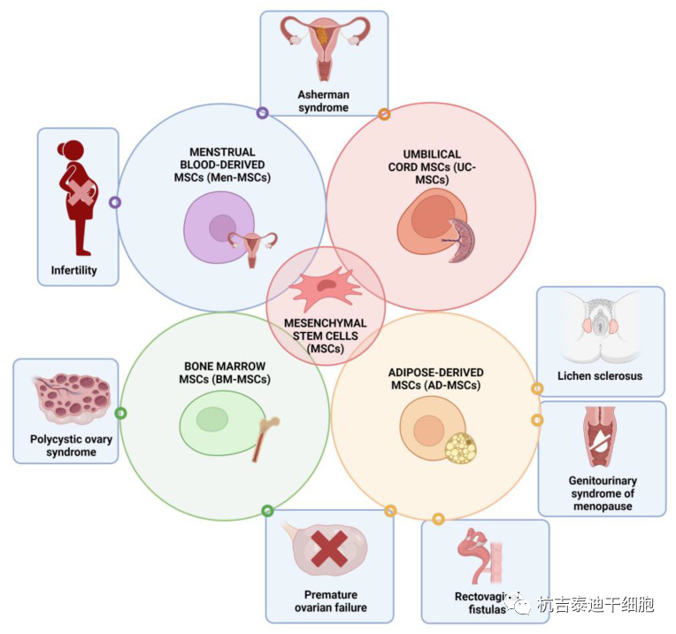 圖1:間充質(zhì)干細胞在婦科各種病癥和疾病中的治療潛力 圖1:間充質(zhì)干細胞在婦科各種病癥和疾病中的治療潛力
