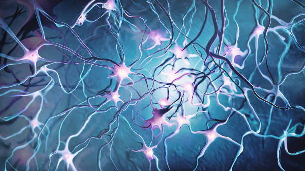 神經(jīng)干細胞常見(jiàn)問(wèn)題解答