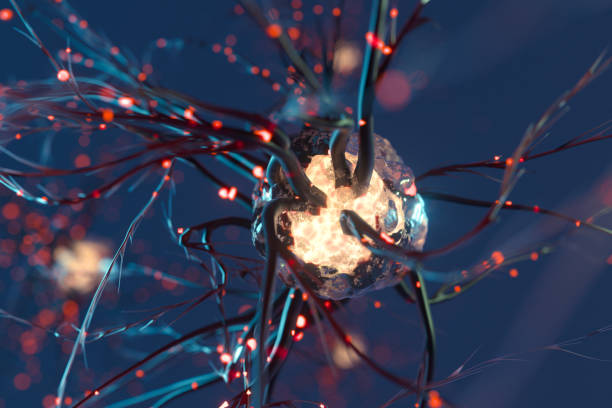 神經(jīng)干細胞移植治療原發(fā)性扭轉肌張力障礙：一例報告