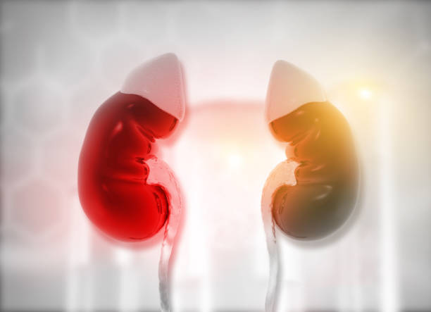 間充質(zhì)干細胞治療急性腎損傷的潛在優(yōu)勢 間充質(zhì)干細胞治療急性腎損傷的潛在優(yōu)勢