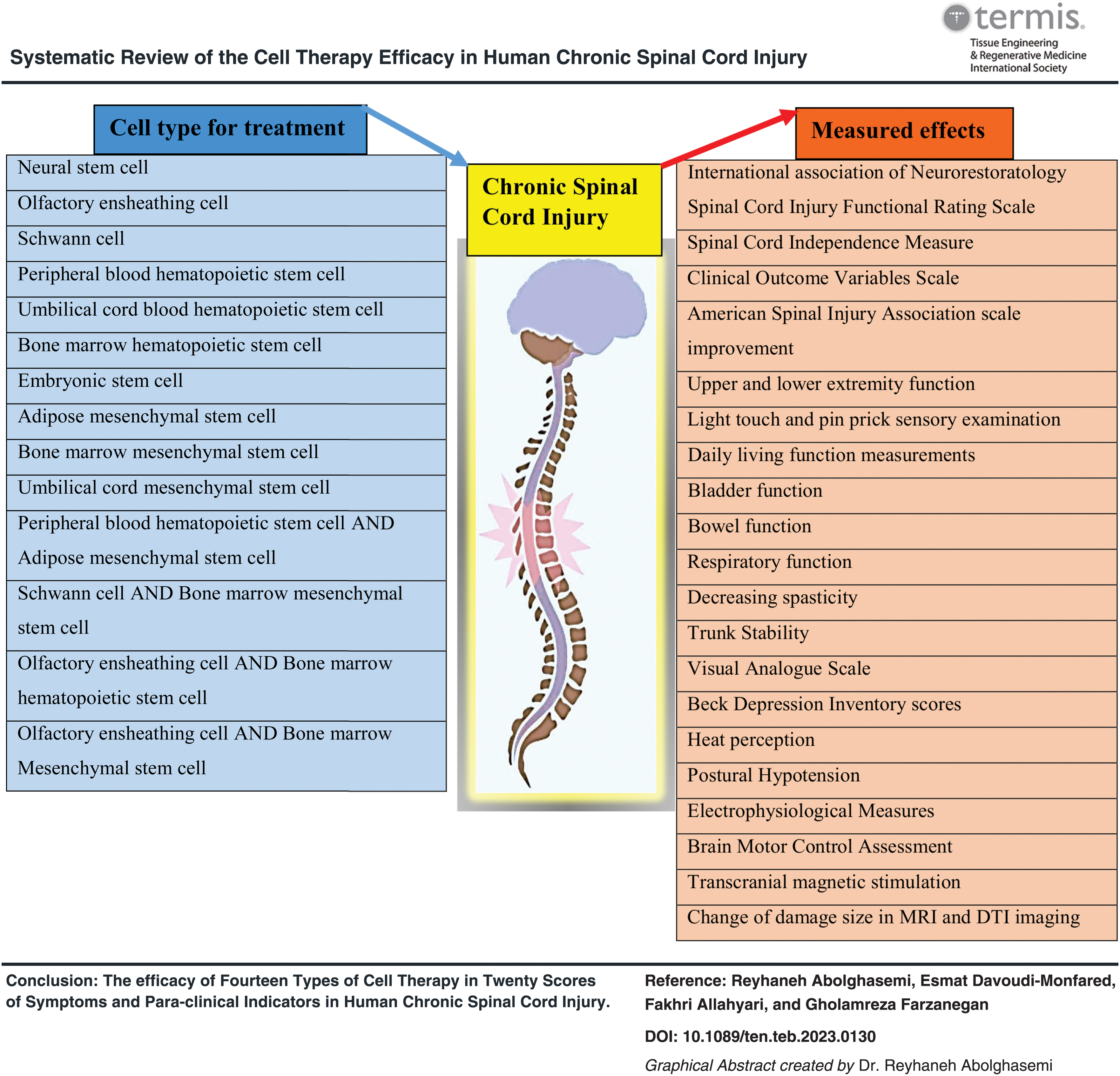 干細胞療法對人類(lèi)慢性脊髓損傷療效的系統性綜述