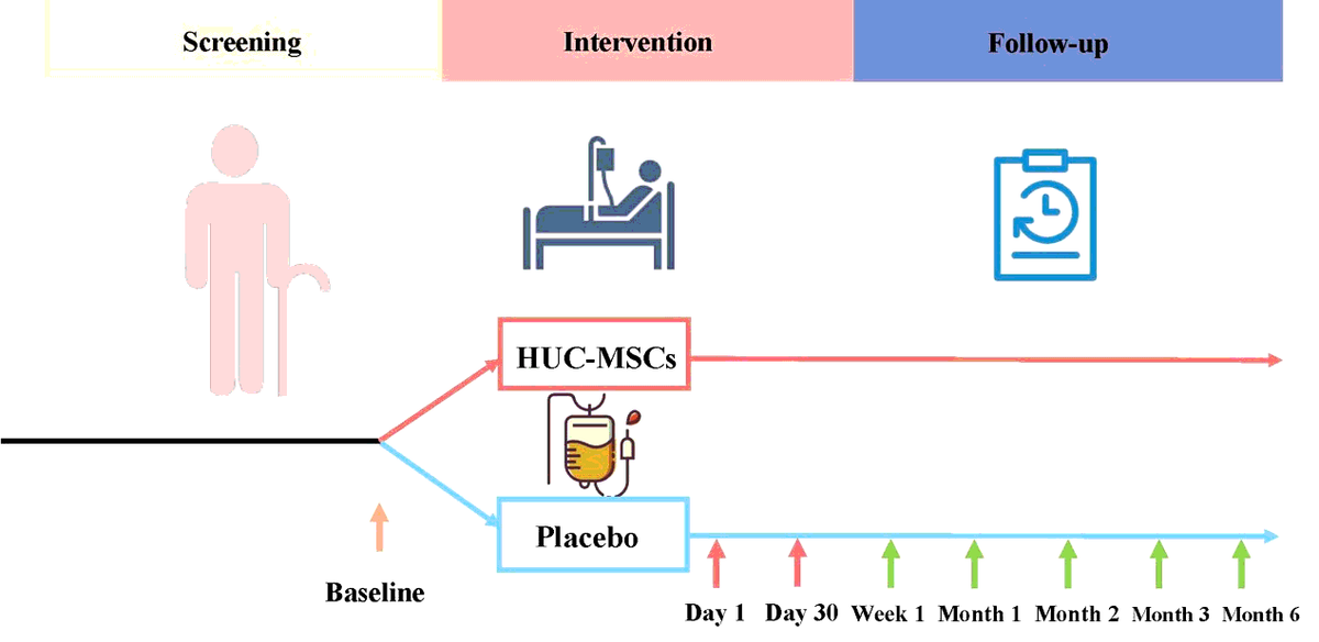 圖1：所有評估均在首次靜脈輸注HUC-MSC后1周、1、2、3和6個(gè)月時(shí)進(jìn)行