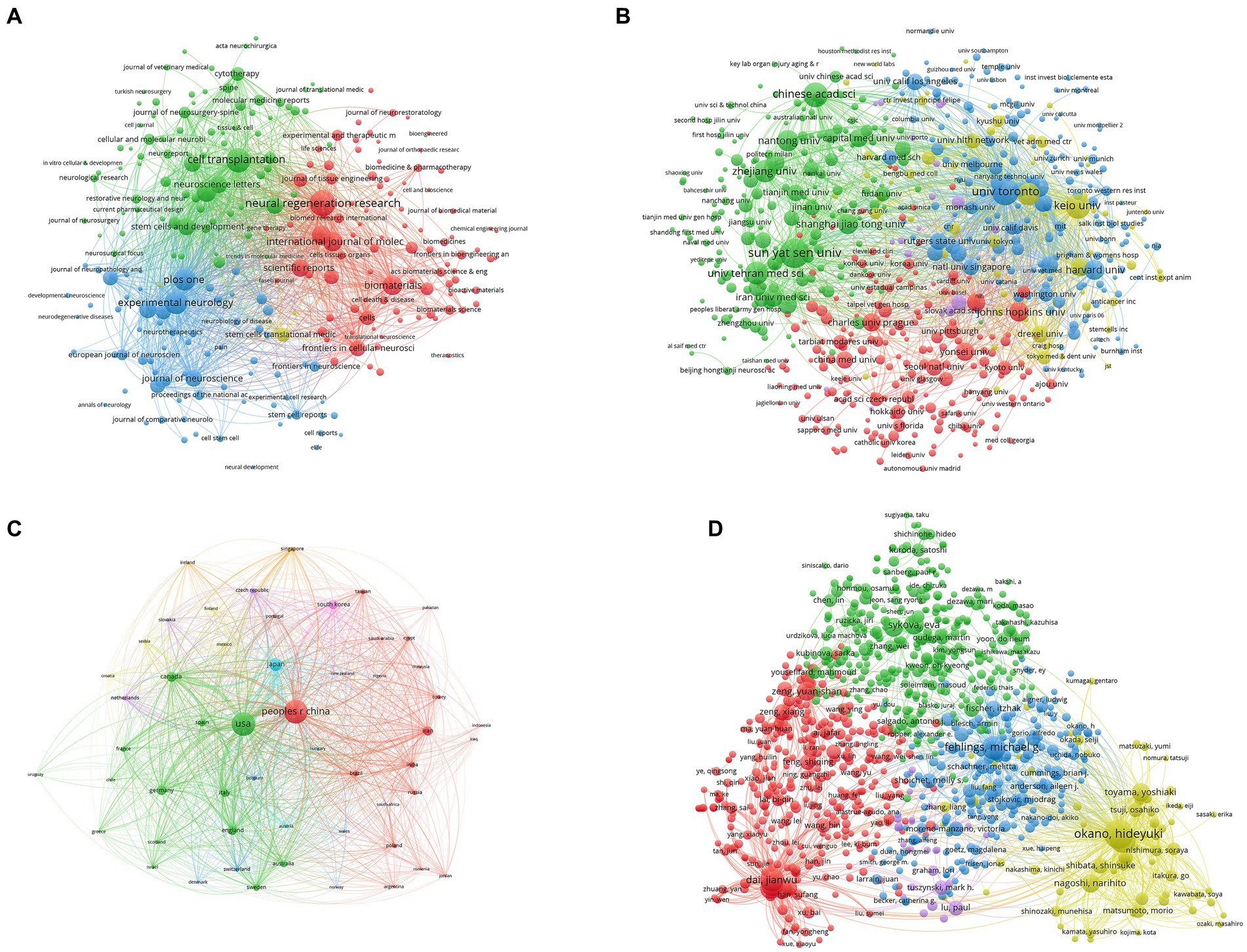 圖5：脊髓損傷研究干細胞療法的文獻耦合分析。