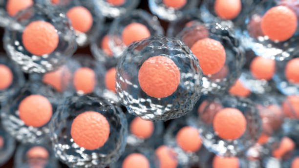 干細胞治療的平均費用是多少？