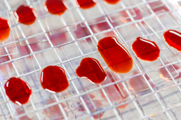 可以用臍帶血干細胞可以治療哪些疾??？