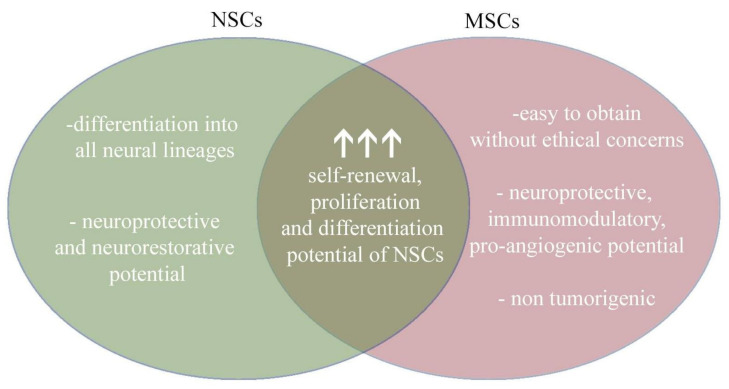圖4：將神經(jīng)干細胞和間充質(zhì)干細胞的治療益處相結合，為治療提供了新的視角。