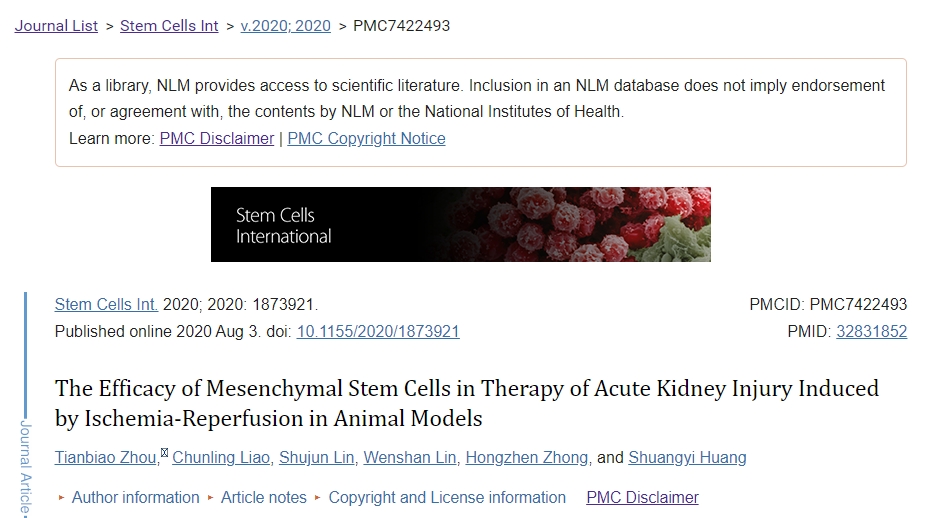 間充質(zhì)干細胞在動(dòng)物模型中治療急性腎缺血再灌注損傷的療效