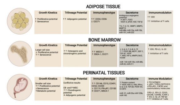△?UC-MSC、AT-MSC及BM-MSC生物差異性對比，圖中額外增加表面標志物對比