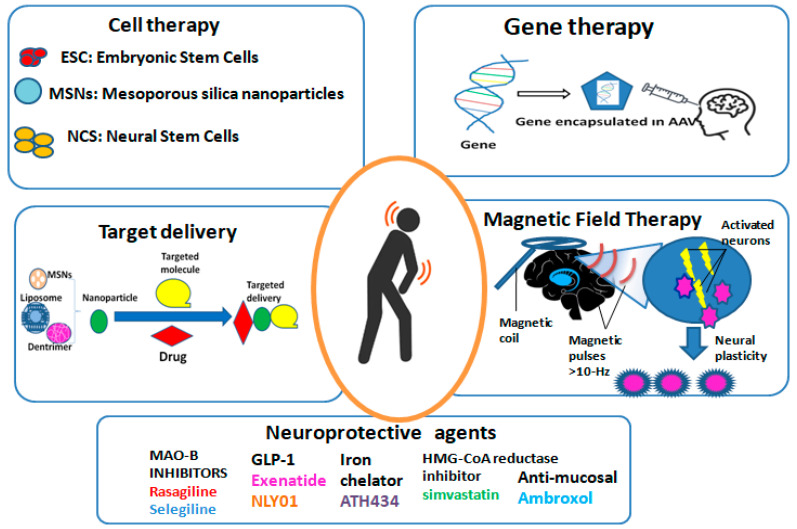 圖2：帕金森病的新療法概述。