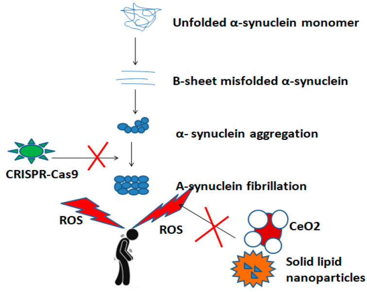 圖3：納米粒子和基因編輯技術(shù)（例如CRISPR-Cas9系統）在PD發(fā)病途徑中的抑制作用的示意圖。